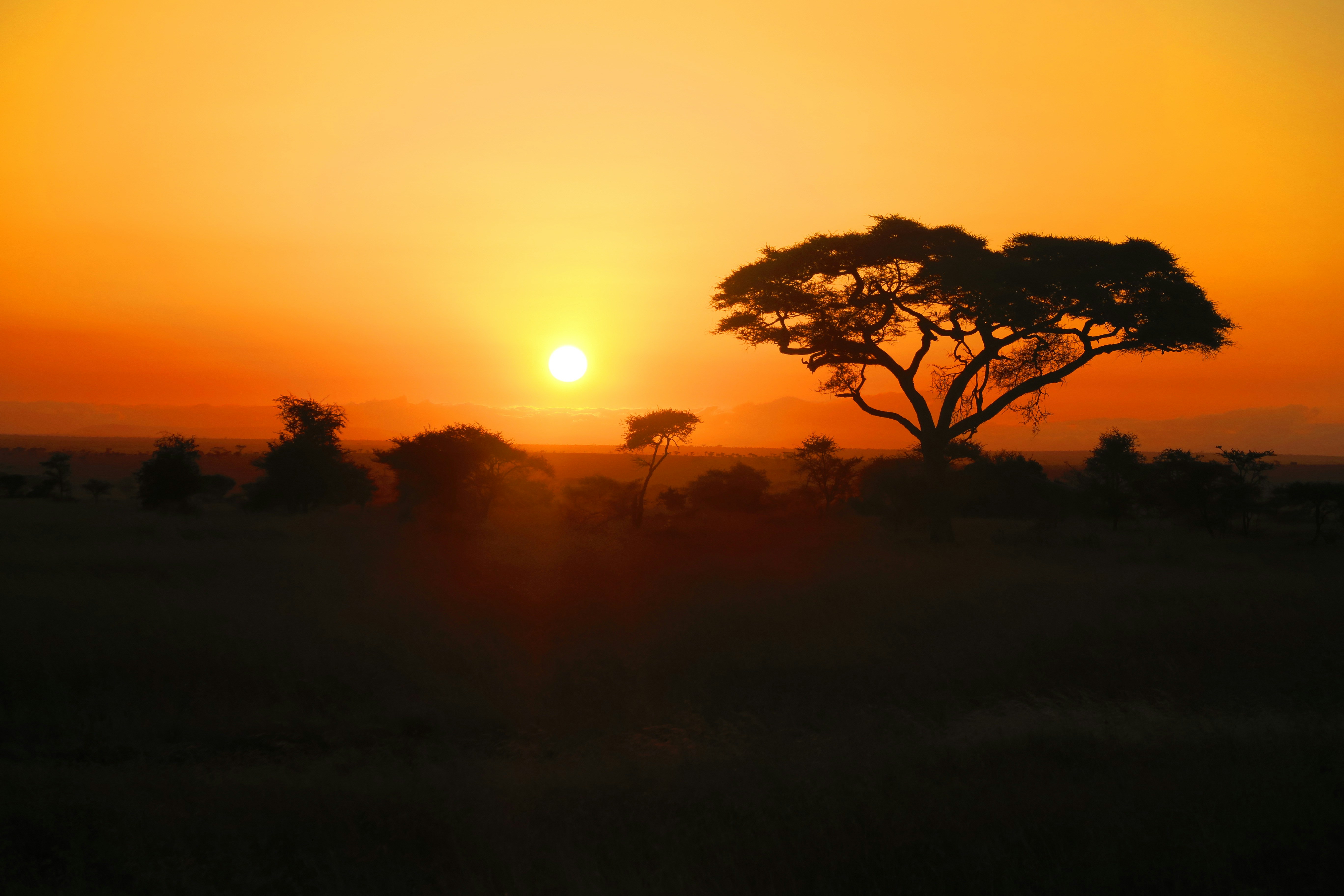 10 Insider Tips Every Africa-Bound Traveler Needs to Know