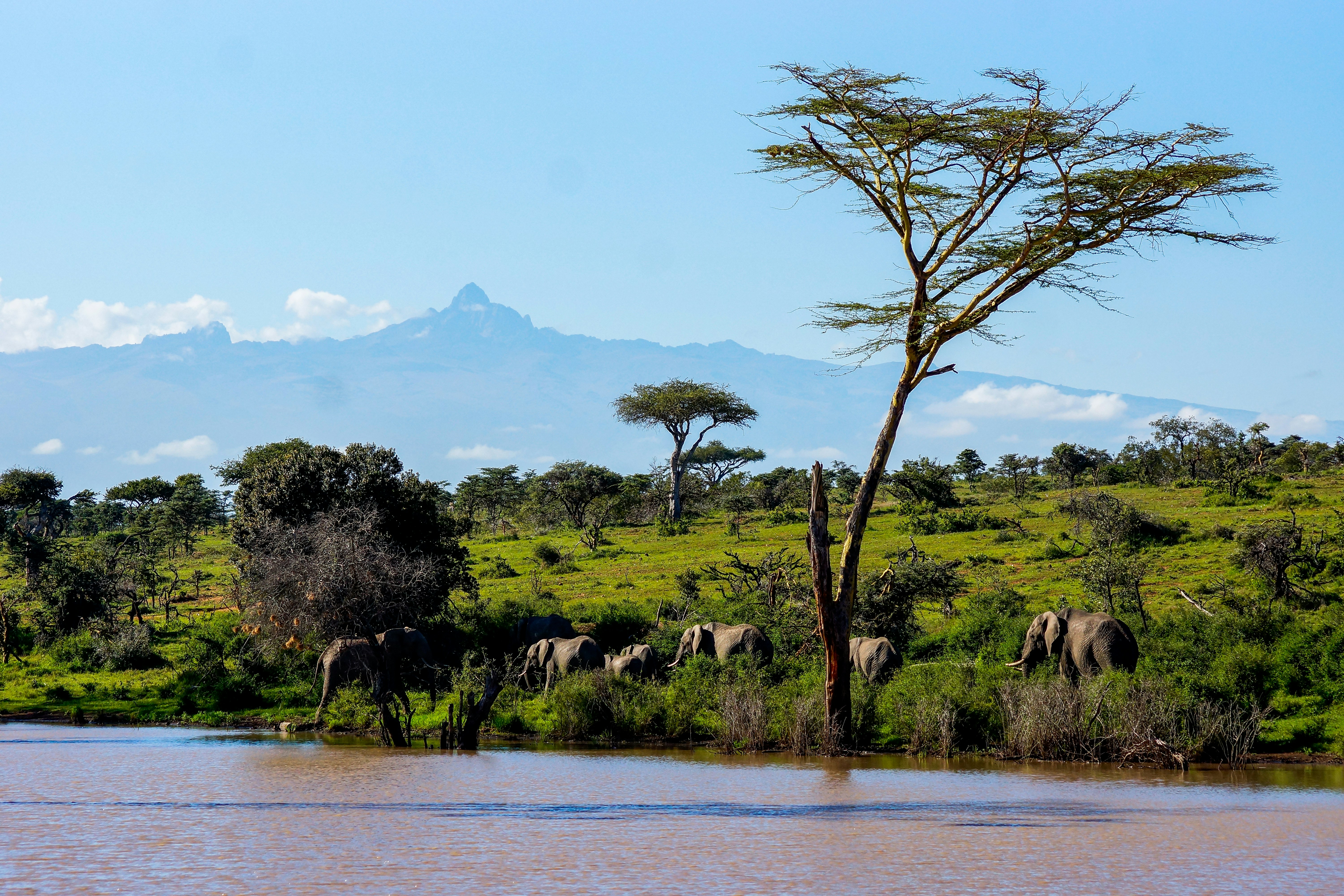Mount Kenya Trekking Expedition